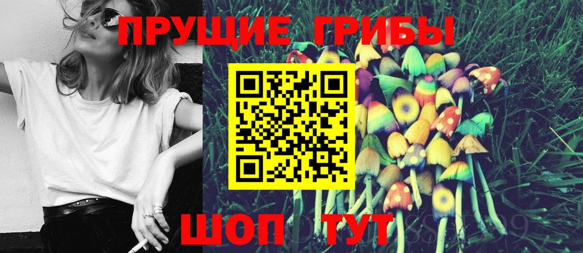 Псилоцибиновые грибы Cubensis Ульяновск